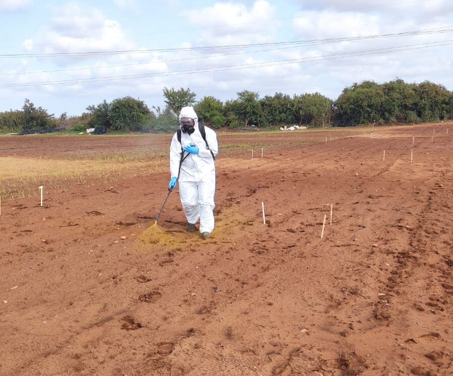 Field Agribusiness Advisory — Terrain