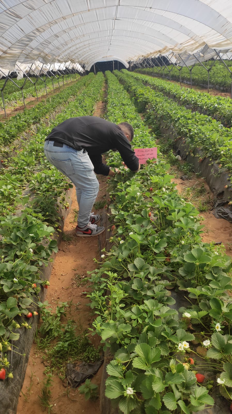 PPP institutionnel hydro-agricole