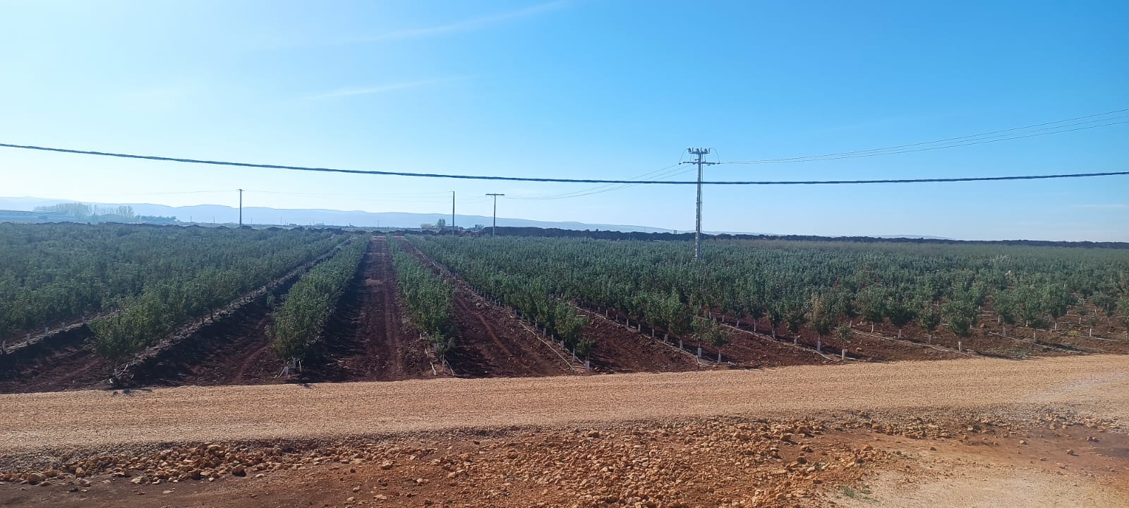 Ingénierie & Projets Field